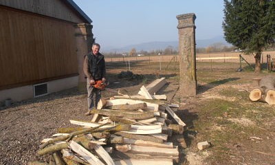 Quand le printemps arrive