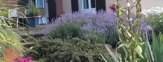 Pour le plaisir des yeux et pour ceux qui butinent