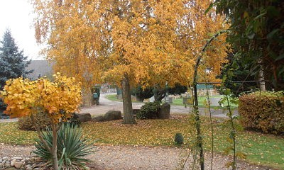 Arc en ciel de couleurs